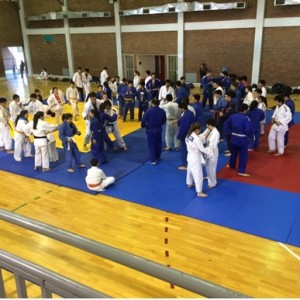 judo delegacion 3